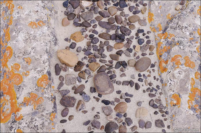 &nbsp;Stones, sand, and lichen form interesting patterns in Adobe Town, southern Red Desert, Wyoming.